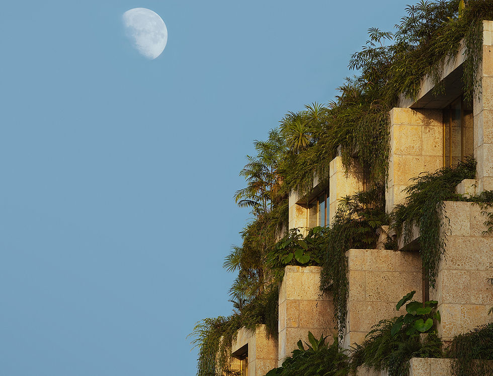 Oppenheim_GrandAveMiami_NewDawn_www.mir.no (1).jpg