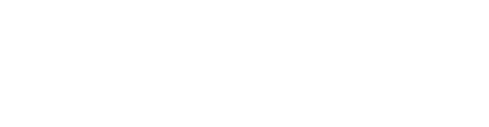 Florida secure title_white.png